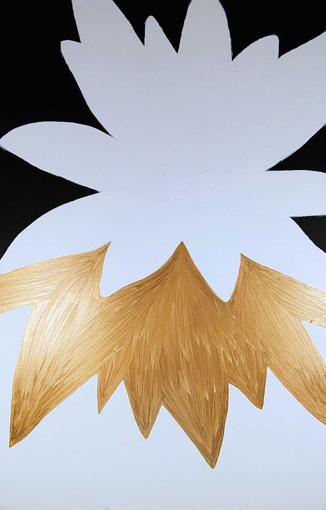 IMG 20250129 081522982 HDR AE2