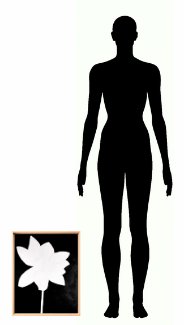 Prop 0858 E1765201105566