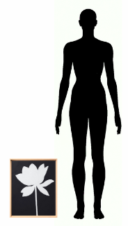 Prop 1052 E1765180533945