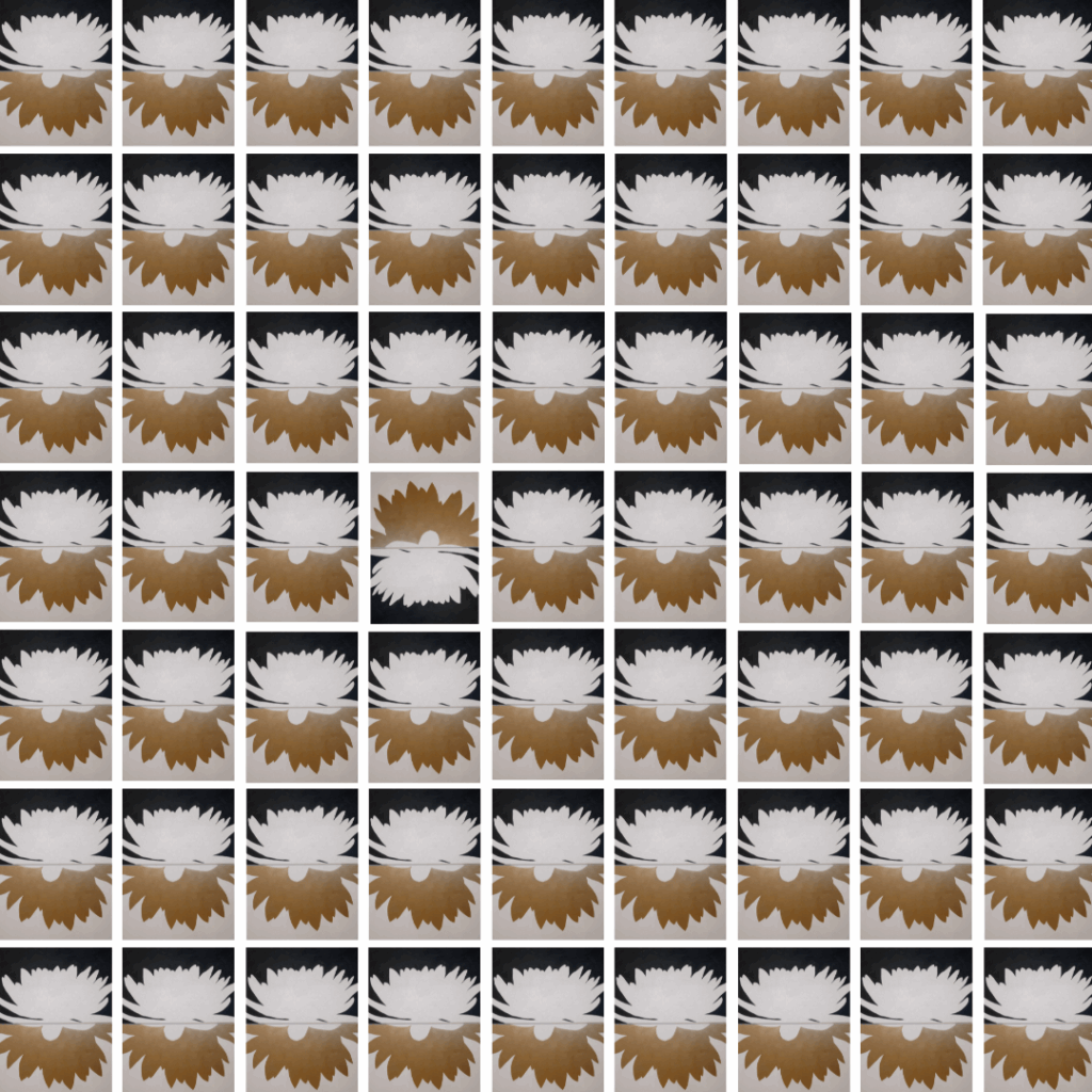 Trova Lintruso 1024x1024